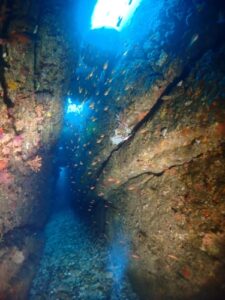 すさみ【和歌山】