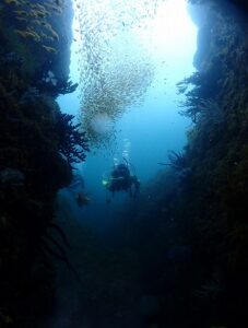 田辺【和歌山県】
