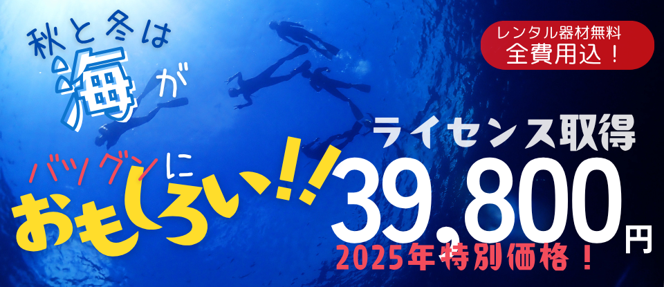 PADIオープンウォーターダイバーコース